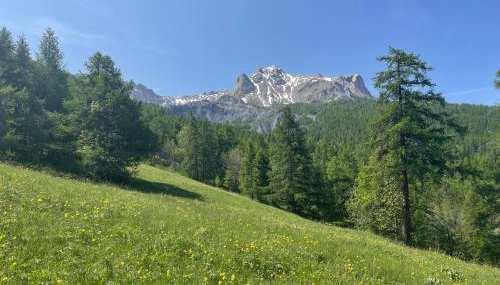 Studio Pouss - Photo 2