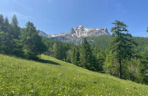 Studio Pouss - Foto 2