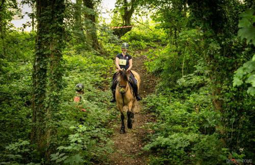 gites de Warincthun - Foto 9