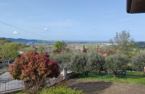 La Tavernetta - Foto 32