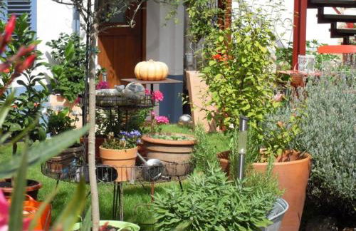 Loblocher Max und Moritz - Foto 13