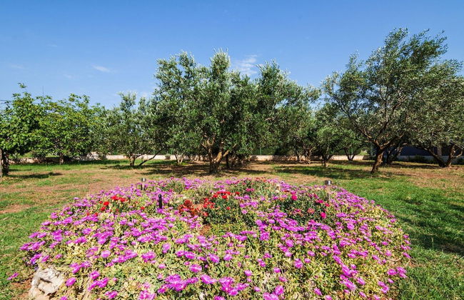 Villa Chervil Zadarvillas - Photo 50