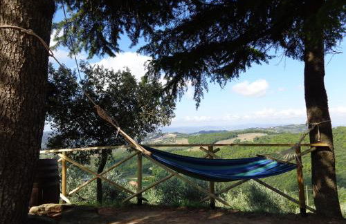 La Corte dei Banchetti - Foto 27