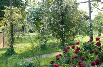 Tenuta Agriturismo La Borina - Foto 10