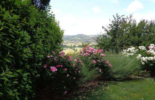 Agriturismo La Torraccia - Foto 13