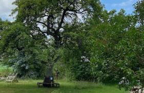 Landhaus Lange3 Moderne Kunst - Photo 36