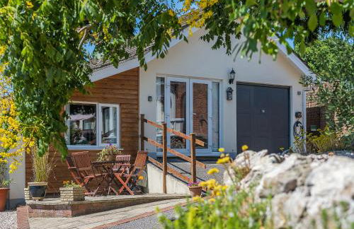 The Lantern Tree - Foto 25