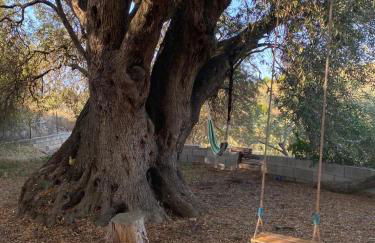 Casa Olea - Photo 46