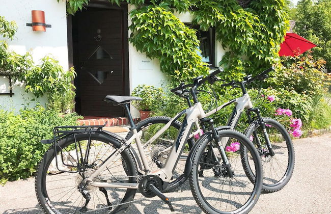 Bergwiesen - Studio House - Foto 29