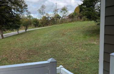 3BR Pet Friendly Cottage Mathias WV - Foto 43