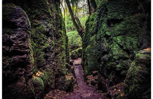 Hilly Haven & Luxury Wagon in the Forest of Dean - Foto 69