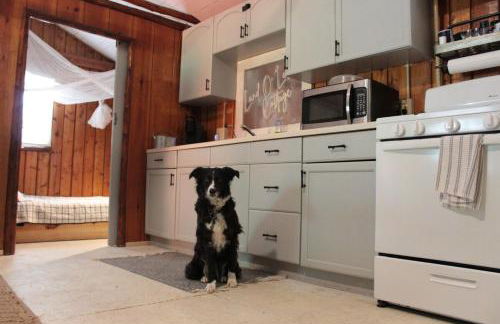 Lake Huron Lady of the Lake Cabin w HotTub, Sauna - Foto 36