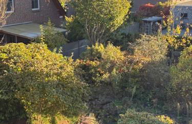 Unter einem Dach 5 - Foto 20