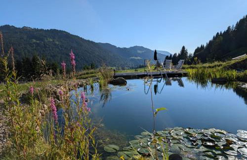 Alpenflair-Chalets-Balderschwang - Foto 8