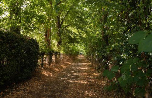 Vine Cottage - Foto 45