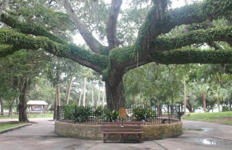 Historic GWALTNEY HOUSE-Cottage at St Andrew's Bay - Photo 35