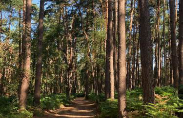 Charmantes Ferienhaus Wolf Schaefer - Foto 22