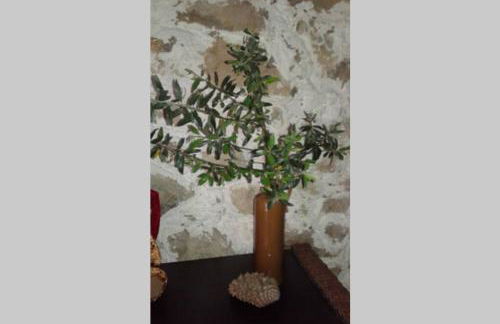 Palheirinho - Foto 31