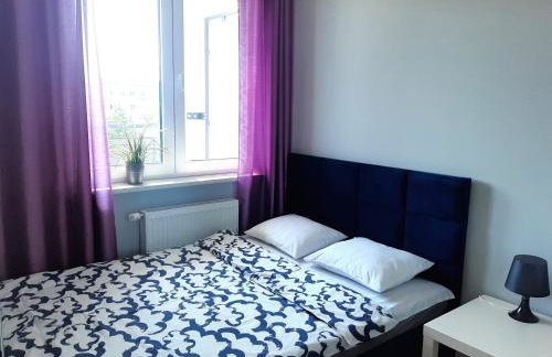 Apartament Wawa - Foto 4