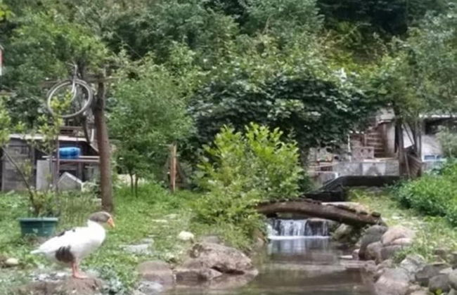 Yesil Doga Tatil Apart - Foto 17