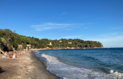 Le mazet des amours - Foto 60