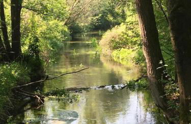 Appartementhaus Stangl - Foto 21