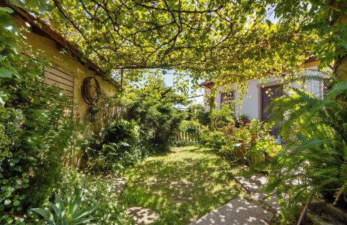 Guest House Casa S Martinho - Foto 6