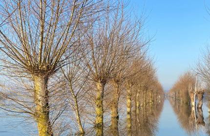 Le paille en queue - Foto 40