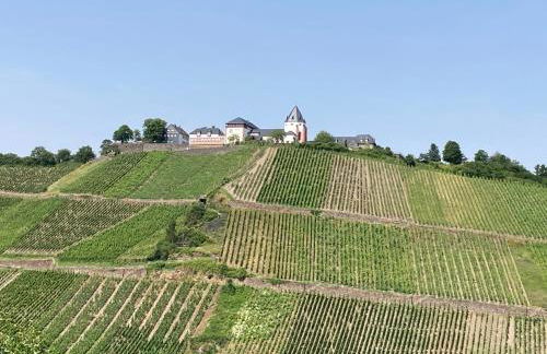 Burgblick Pünderich - Foto 1