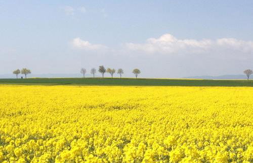 Ferienwohnungen In de goldisch Luft - Foto 80