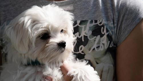 Willmüllerhof - Foto 2