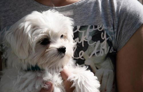 Willmüllerhof - Foto 2