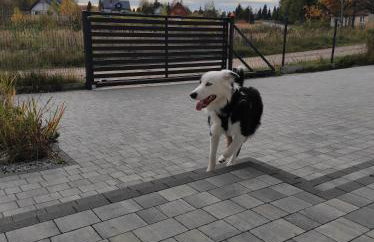 Willa w Brzozach Sznurki Spokojna 1 - Chmielno, Kaszuby, dom, jezioro - Foto 32