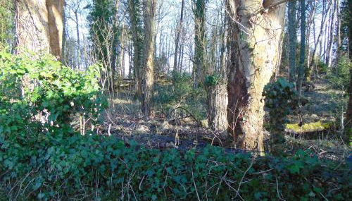 Dreamwood Cottage, Loch Lomond, Luxury Apartment. - Foto 4