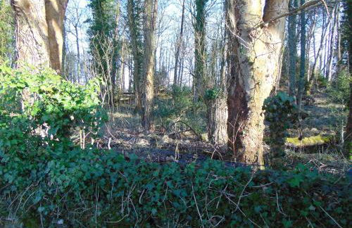 Dreamwood Cottage, Loch Lomond, Luxury Apartment. - Foto 4