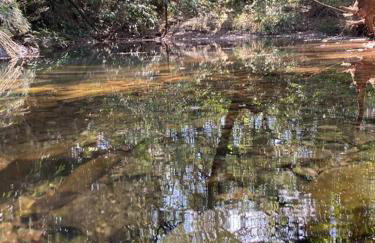 Casa temporada cantinho da paz - Foto 13