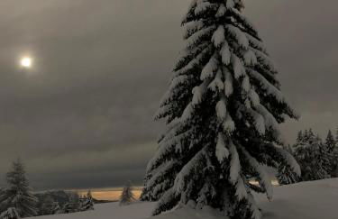 Anger living - Photo 65