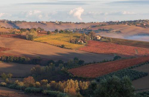 La Vita Nuova - Foto 31