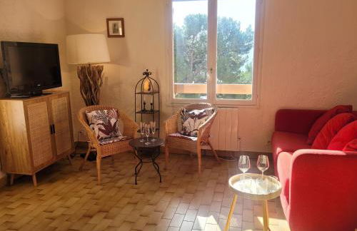 Appartement avec vue sur le lac de Sainte-Croix - Foto 3