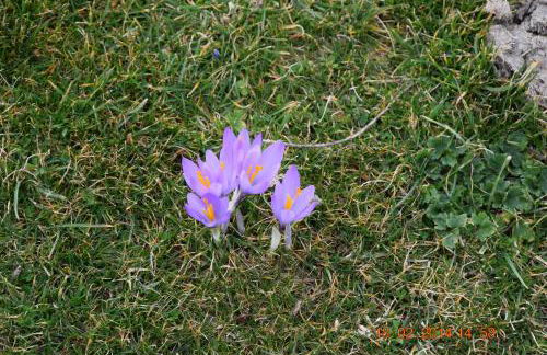 Casa Galoppa - Foto 40