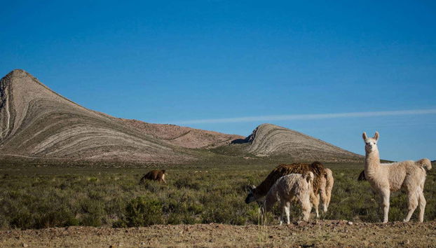 La Quiaca & Yavi Day Trip - Foto 2