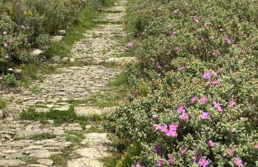 Casa Diciotto - Foto 28