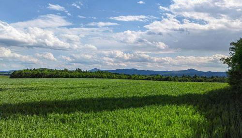 Ferienwohnung Ebersbach - Foto 4