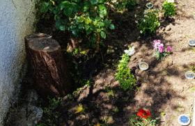 The house in nature SKG - Foto 37