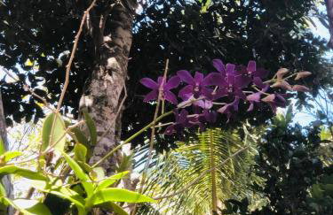 Casa Sonho Meu, Jardim, churrasqueira e Sossego a 5min do Mar - Foto 23