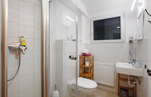 Familien-Sportappartements Wetzel - Foto 59