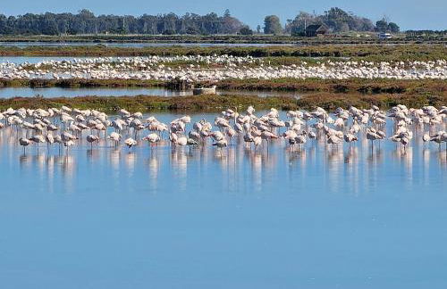 Ferienwohnung mit Privat-Pool - Foto 11