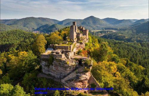 FeWo Pfälzer Felsenlandschaft - Foto 36