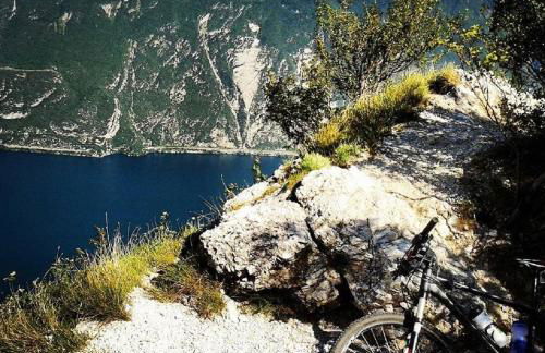 Residence Zecchini - Foto 14