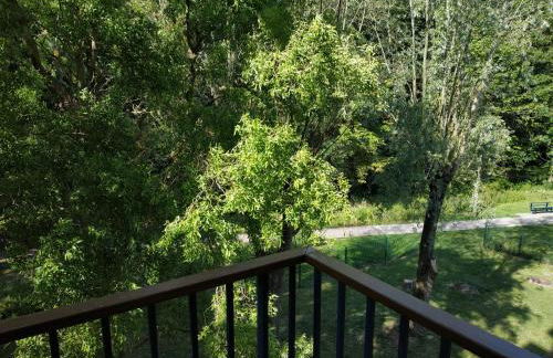 Bonvallet - Studio paisible et chaleureux avec balcon - Foto 9